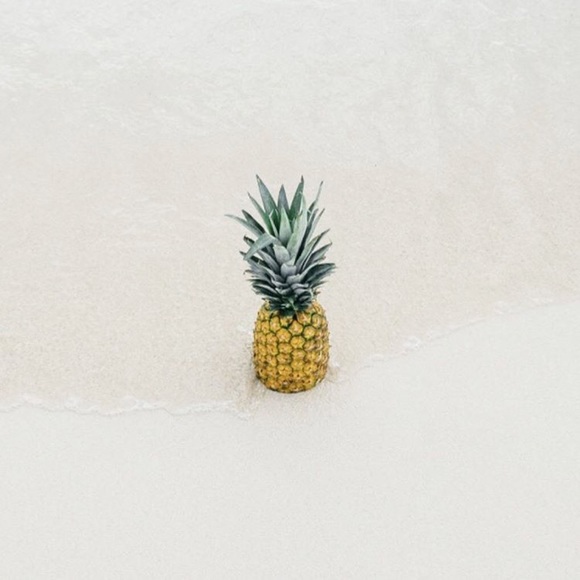 Meet your Posher, Lauren - Picture 1 of 1